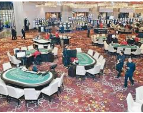 46倍狮子森林舞会桌面版客户端